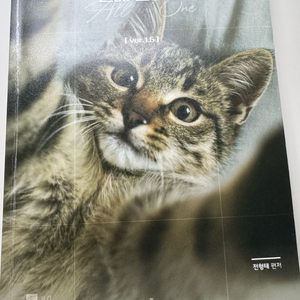 2027 전형태t 언매 올인원 이미지