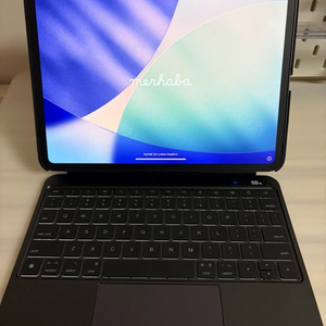 애플 아이패드 프로 11인치 M4 256GB 스페이스 블랙 (구조독,애플펜슬,애플케 포함) 이미지