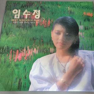 임수정 LP판 이미지