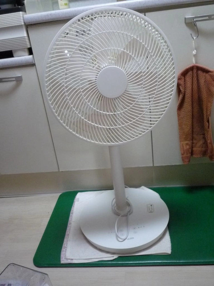 여러가지 선풍기 6000원 부터 이미지