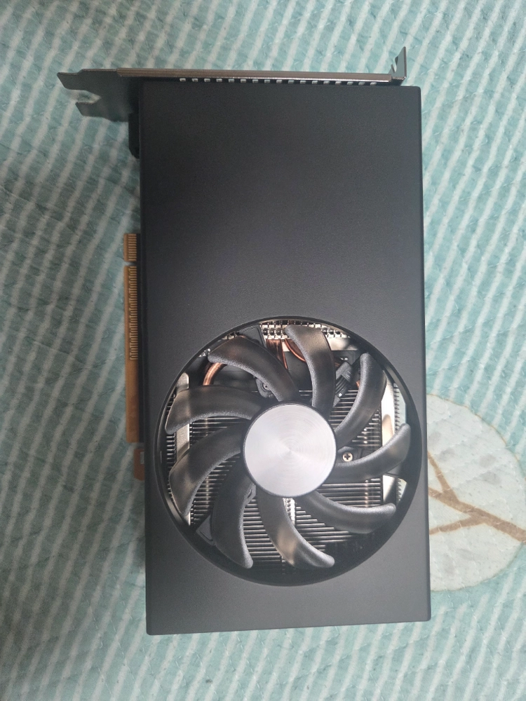 미사용 HP NVIDIA RTX5060 8GB 팝니다 - 안심되는 중고거래