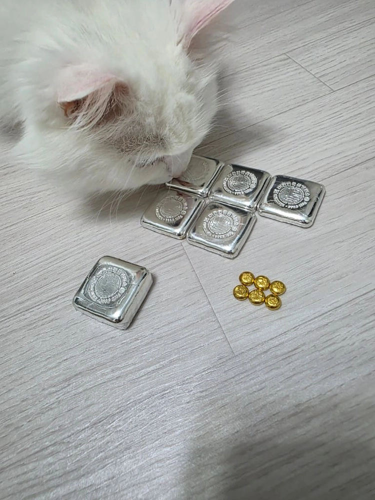 포나인 실버바 500g 일괄 이미지