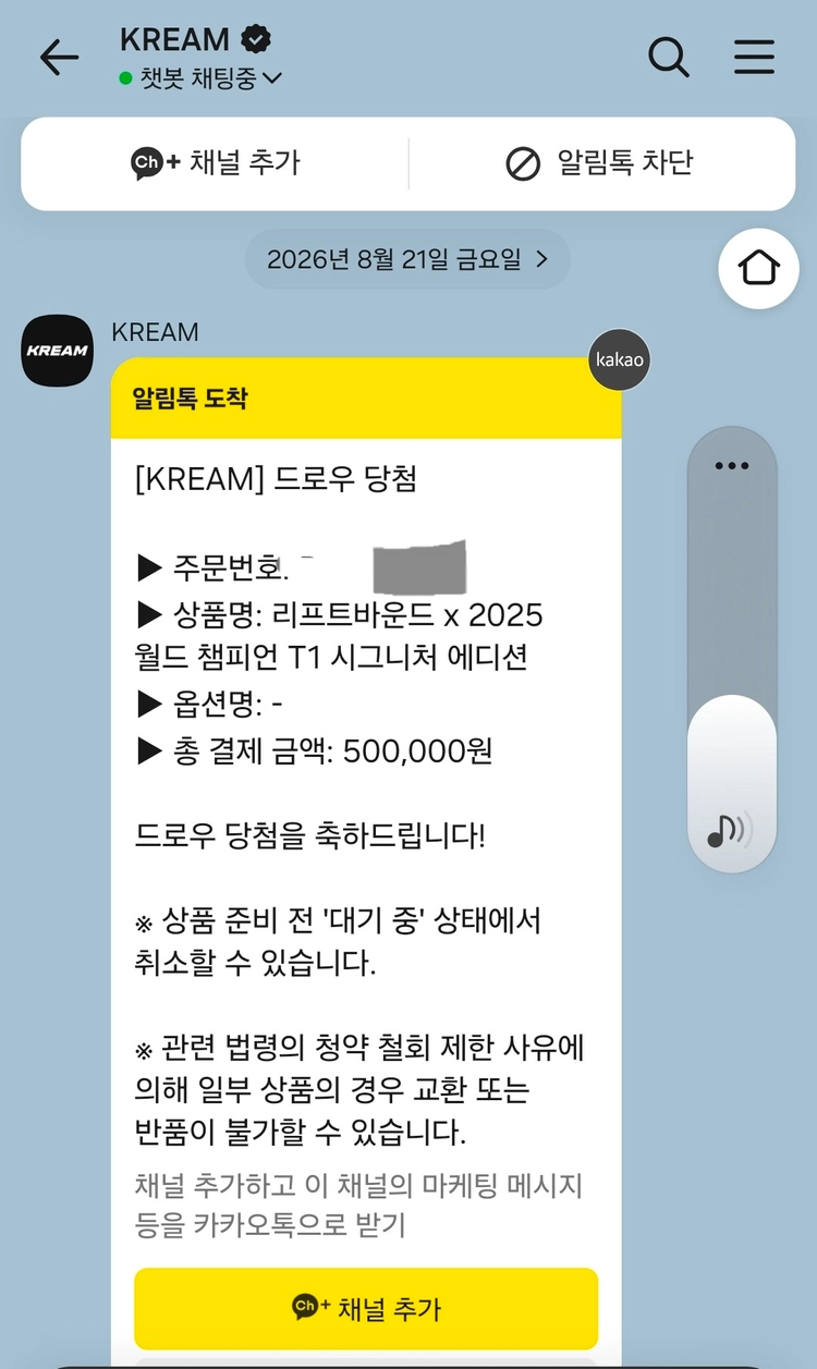 리프트바운드 x 2025 월드 챔피언 T1 시그니처 에디션 - 안심되는 중고거래