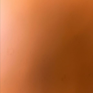 빅뱅 콘서트 티켓 삽니다 이미지
