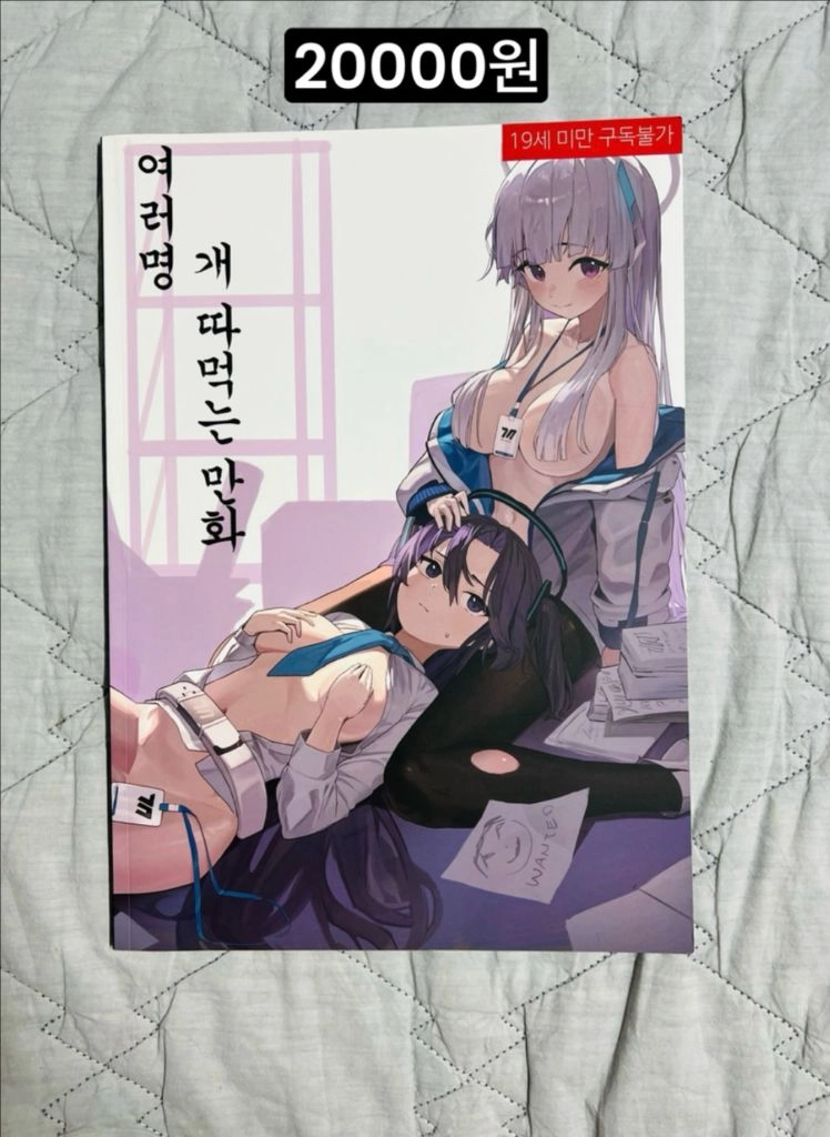 블루아카이브 및 오리지널 동인지 성인지 회지 코미케 이미지