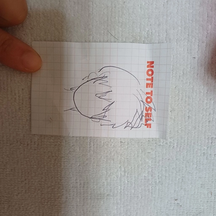 진한 레드 후까시 짧은 컷가발 코스프레 이미지