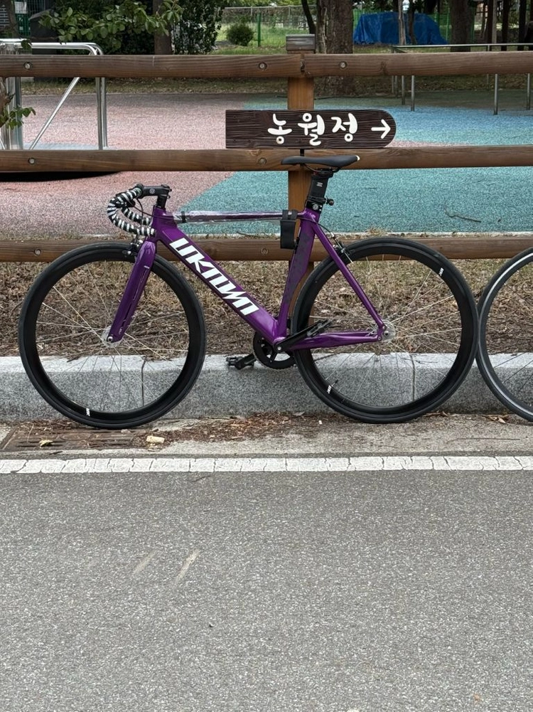 언너운 픽시 자전거 이미지