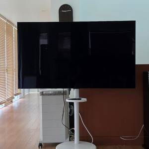 엘지 OLED 65인치 TV 이미지