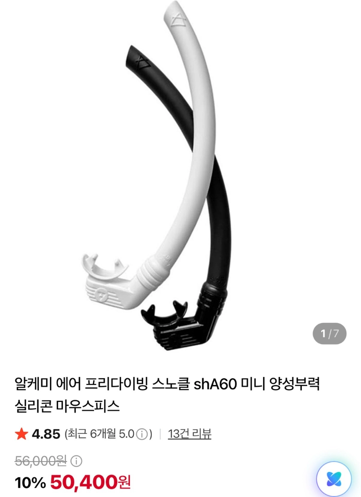 알케미 스노클 이미지