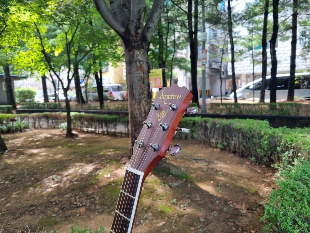 한국산 덱스터 통기타 OM바디 입문용 기타 판매합니다 이미지