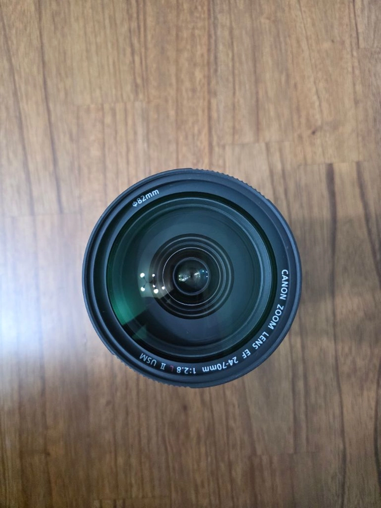 EF 24-70mm F2.8L II USM 신계륵 이미지