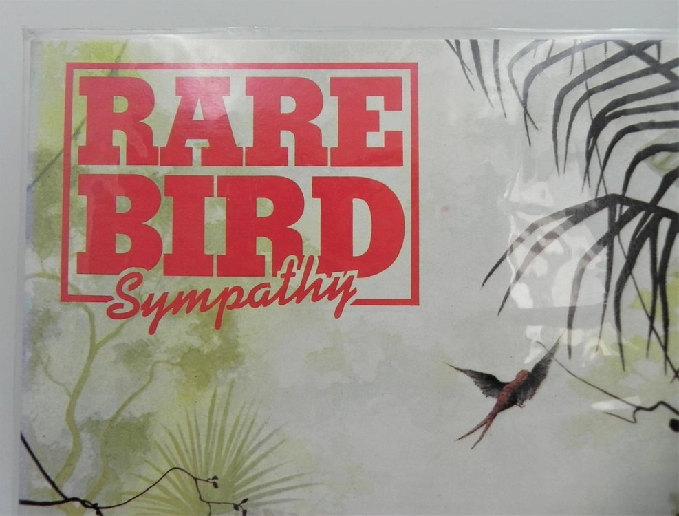 [미개봉/희귀] Rare Bird 레어 버드 - Sympathy (한국반/VKPL-0045) 이미지