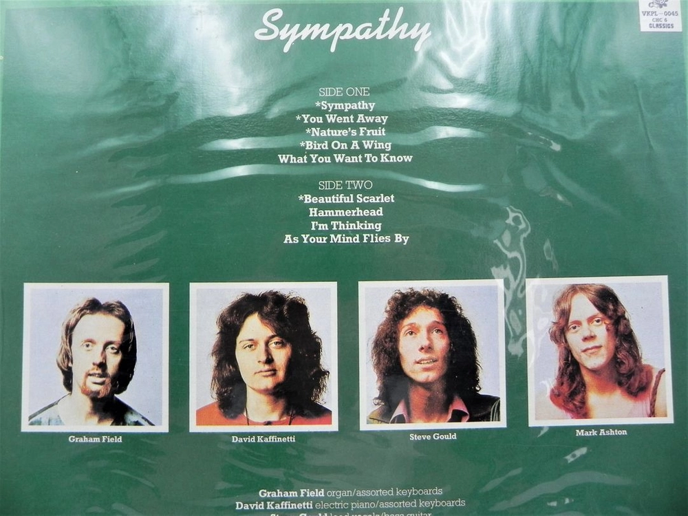 [미개봉/희귀] Rare Bird 레어 버드 - Sympathy (한국반/VKPL-0045) 이미지