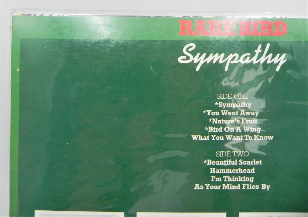 [미개봉/희귀] Rare Bird 레어 버드 - Sympathy (한국반/VKPL-0045) 이미지