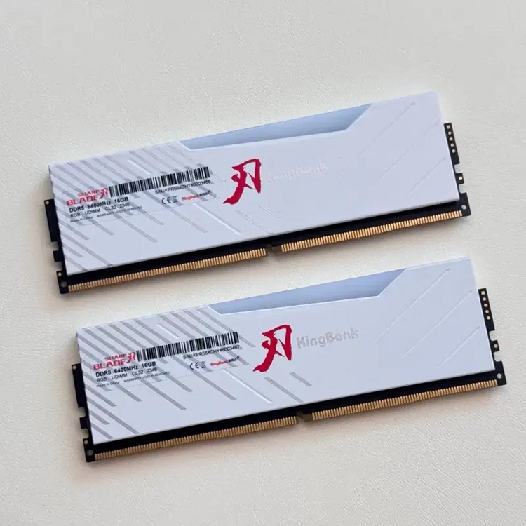 킹뱅크 DDR5 6400 16GB RGB 튜닝램 2개 - 안심되는 중고거래