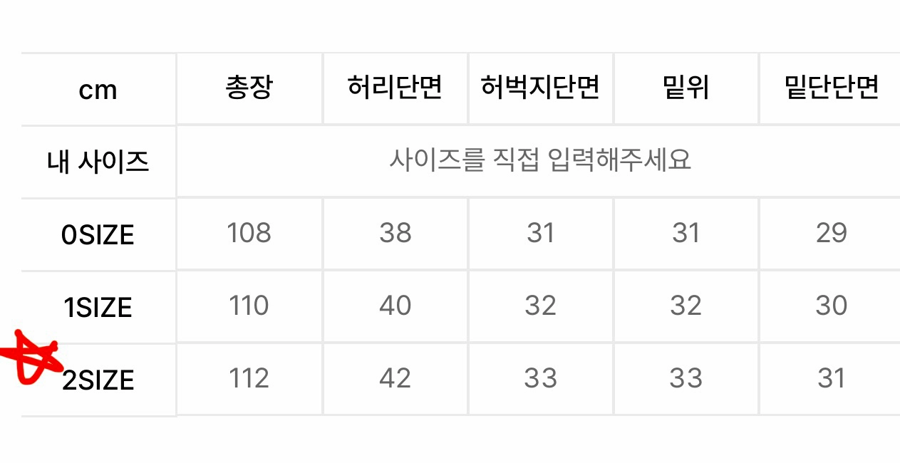 다이브인 와이드 플레어 데님 팬츠 / 라이트 블루 / 2size 이미지