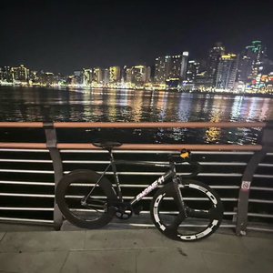 엔진11 볼텍스 브레이크 있어요 이미지