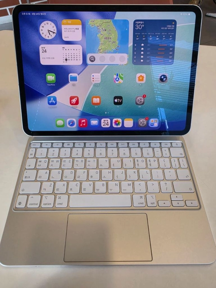 (A급) 아이패드 프로 11형 M4 셀룰러 256GB 실버 이미지