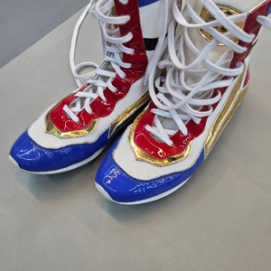 지도칸 복싱화 265 이미지