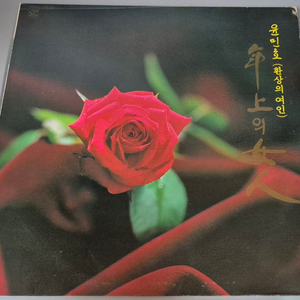 윤민호 LP판 이미지