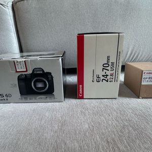 캐논 6d-mark2, 24-70, 80 이미지
