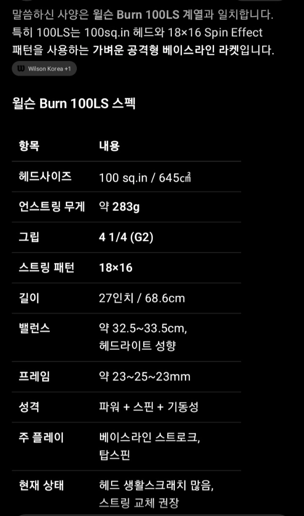 윌슨번 100LS 테니스라켓 탑스핀형 이미지