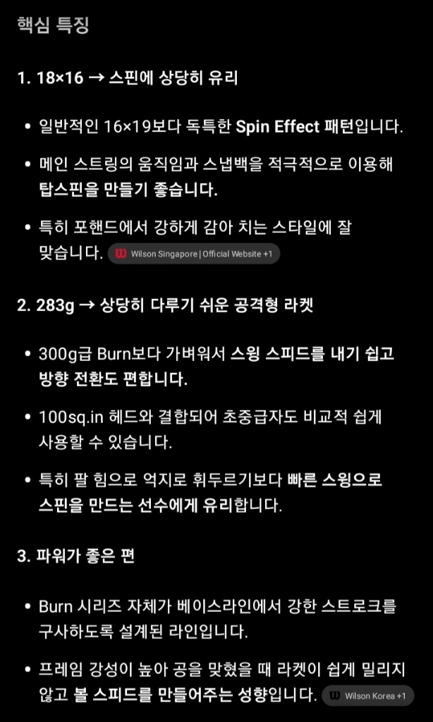 윌슨번 100LS 테니스라켓 탑스핀형 이미지
