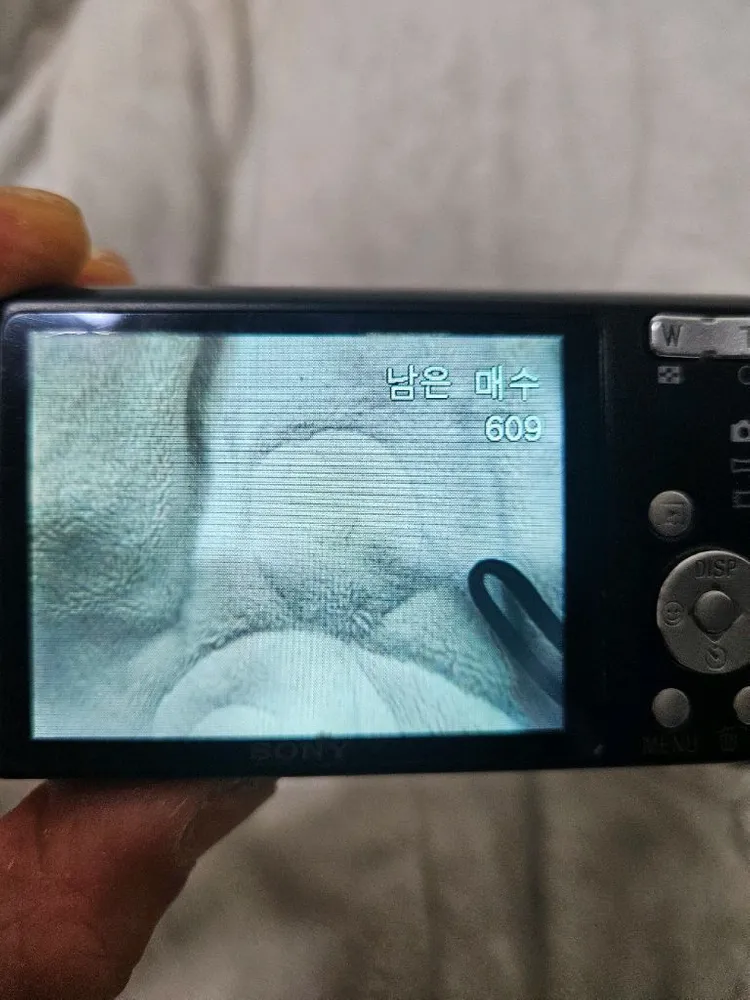 소니 사이버샷 dsc-w610 레트로 디카 빈티지 카메라 이미지