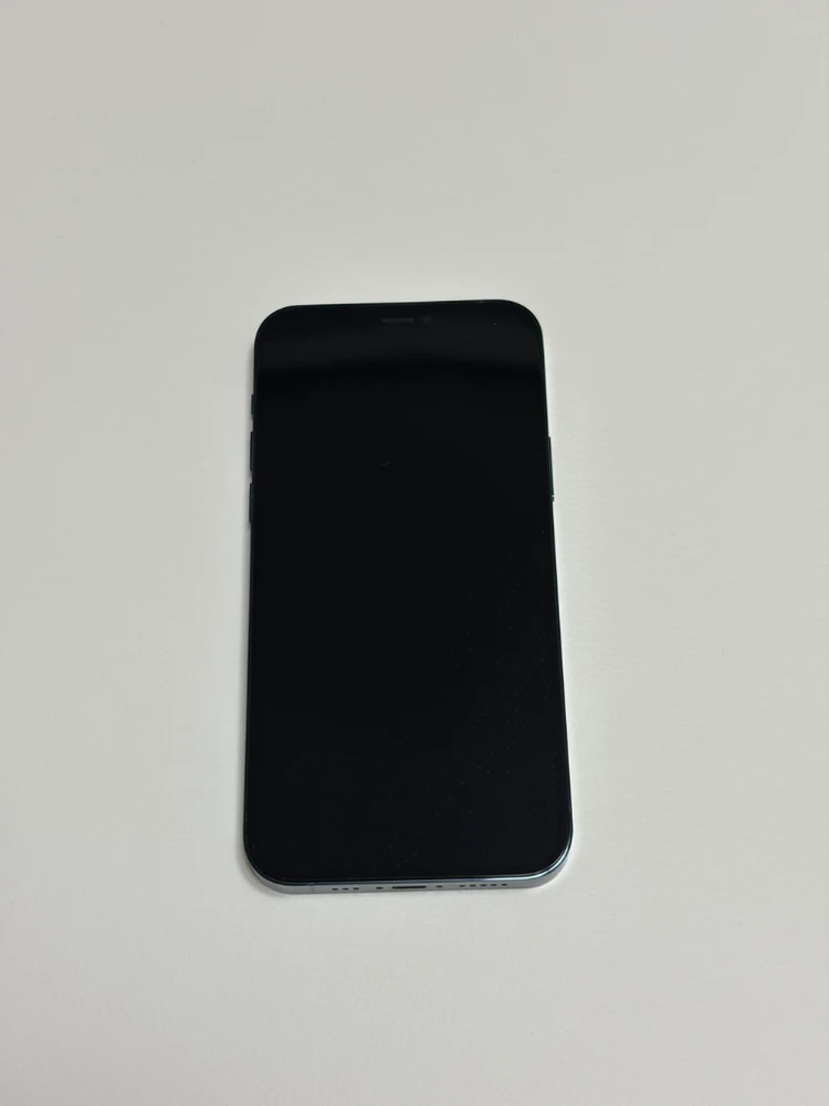 아이폰12프로 퍼시픽블루 256GB 이미지