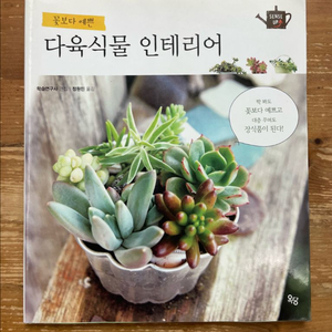 꽃보다 예쁜 다육식물 인테리어 이미지