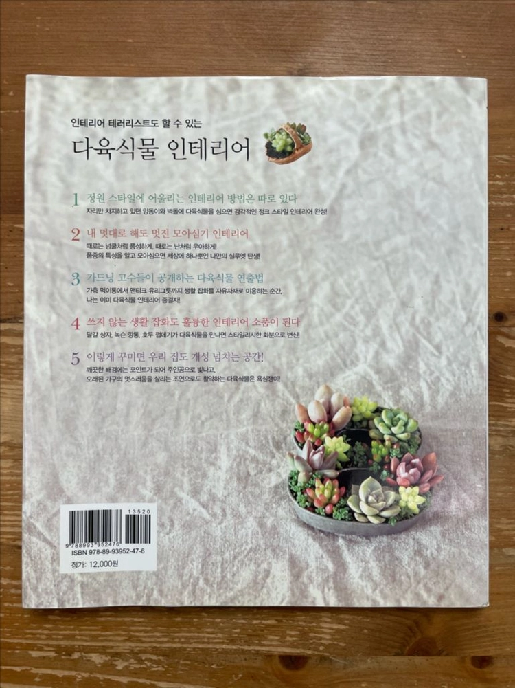 꽃보다 예쁜 다육식물 인테리어 이미지