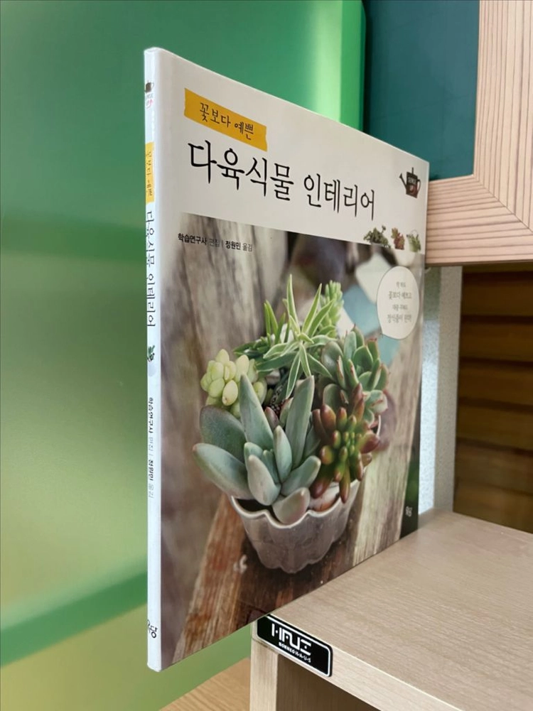 꽃보다 예쁜 다육식물 인테리어 이미지