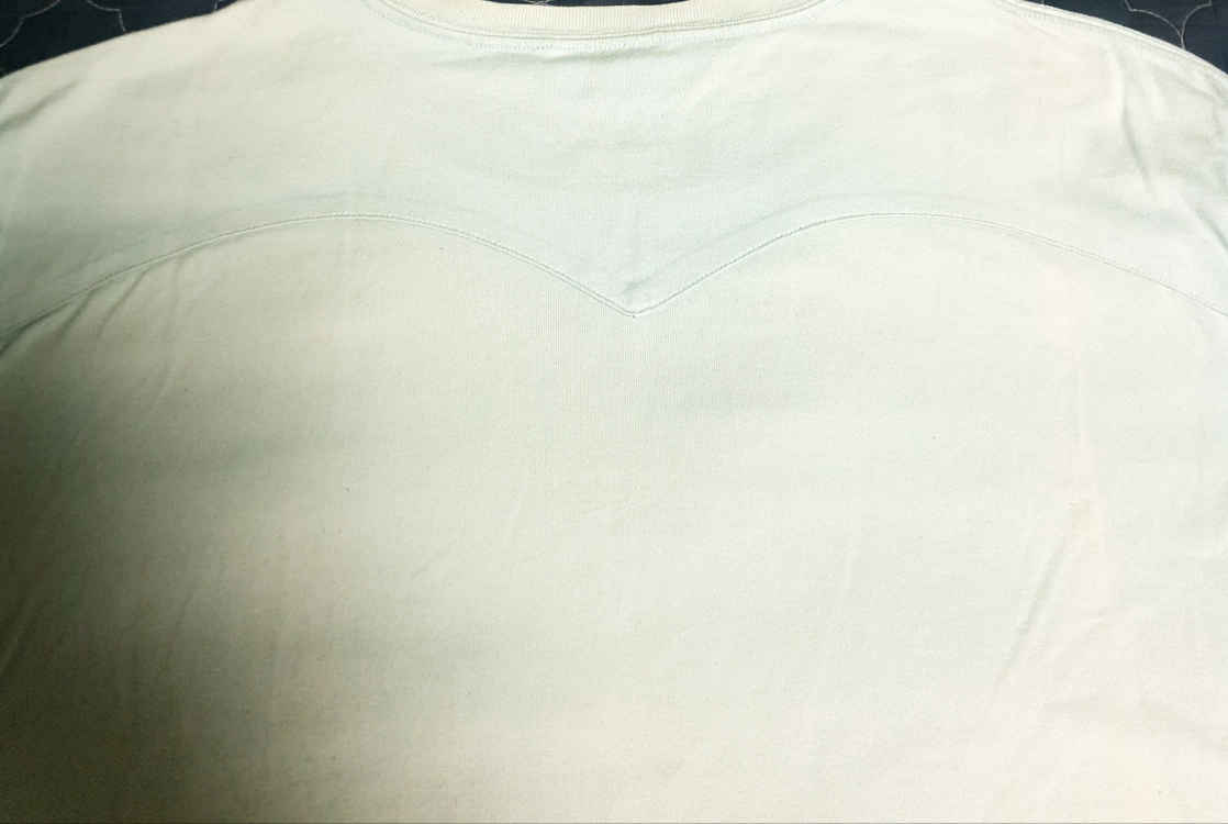 (빈티지) 리바이스 투호스 프린팅 반팔티 스카이블루 (XL) 이미지