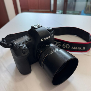 캐논 6D Mark2 + 50mm 1.4 렌즈 이미지