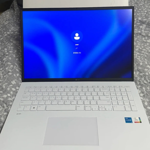 LG 그램 17인치 17ZD90RU-GX56K 판매