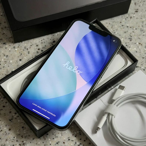 아이폰 13프로 256GB 그래파이트 이미지