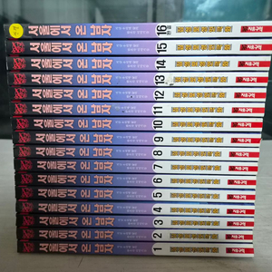 성인액션만화책] 김성모의 서울에서 온 남자 전권 16권 완결 이미지