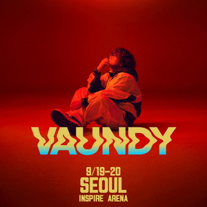 꿀스탠/꿀좌석) 바운디 Vaundy 콘서트 내한 티켓 양도 이미지