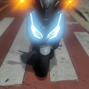 포르자350 25년식팝니다. 이미지