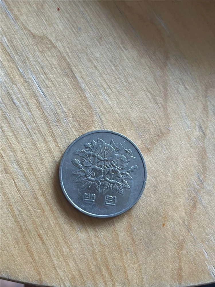 1981년 100원 동전 이미지