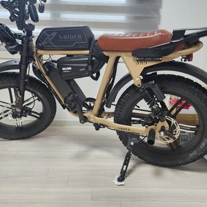 엑스라이더 x200프로 전기자전거 자토바이 이미지