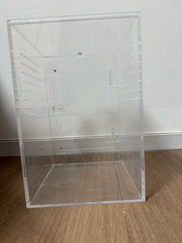 크리스티드 게코 사육장 이미지