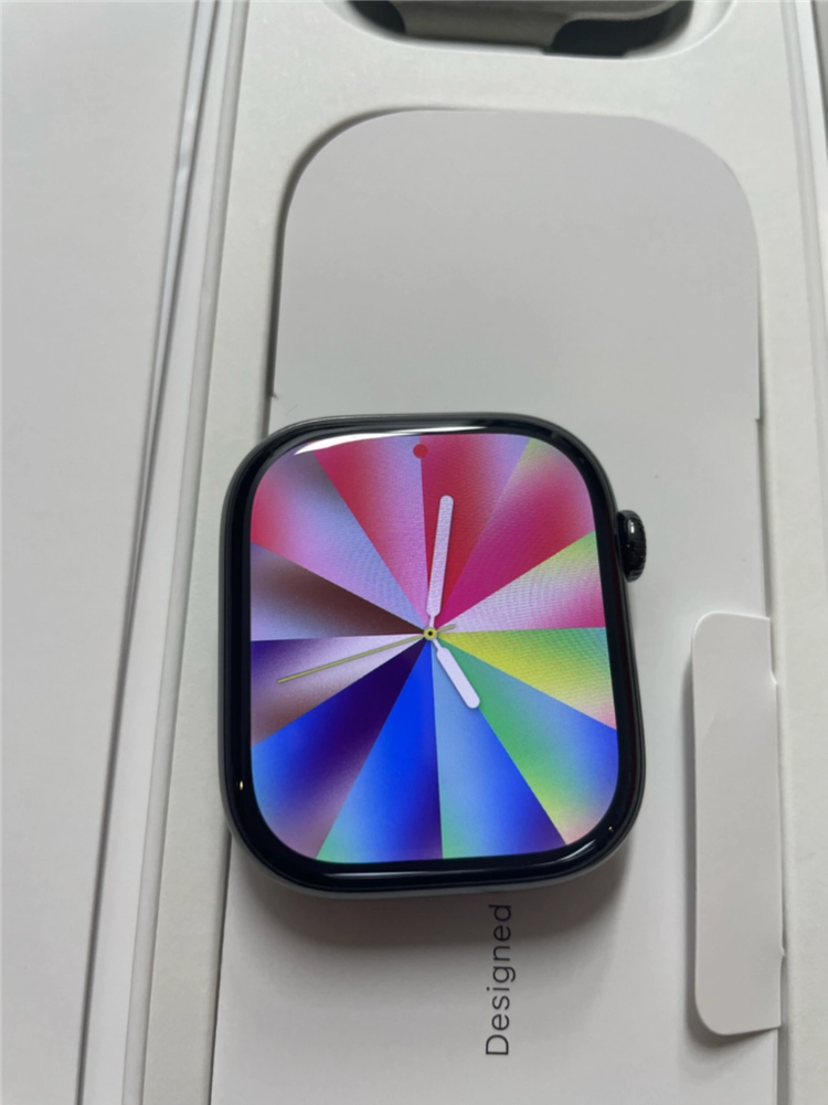 애플워치10티타늄 46mm 슬레이트 SSS급 애플케어+ 이미지