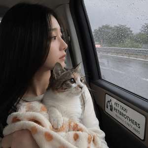 [장거리펫택시, 고양이택시] 댕댕이,냥이 PET VIP 비지니스 쿠폰_ “반려동물 전용 Premium서비스 이미지