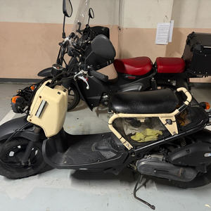 Honda Zoomer / 혼다 줌머50 이미지
