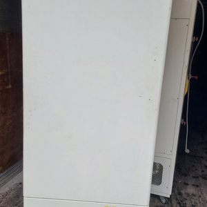 저온배양기 IL-31 12대 보유 이미지