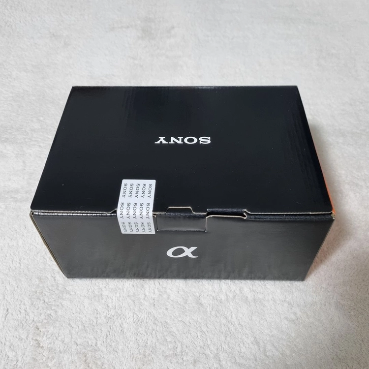 소니 a7r5, a7c2, e10, e10m2, a6400, a6700 이미지