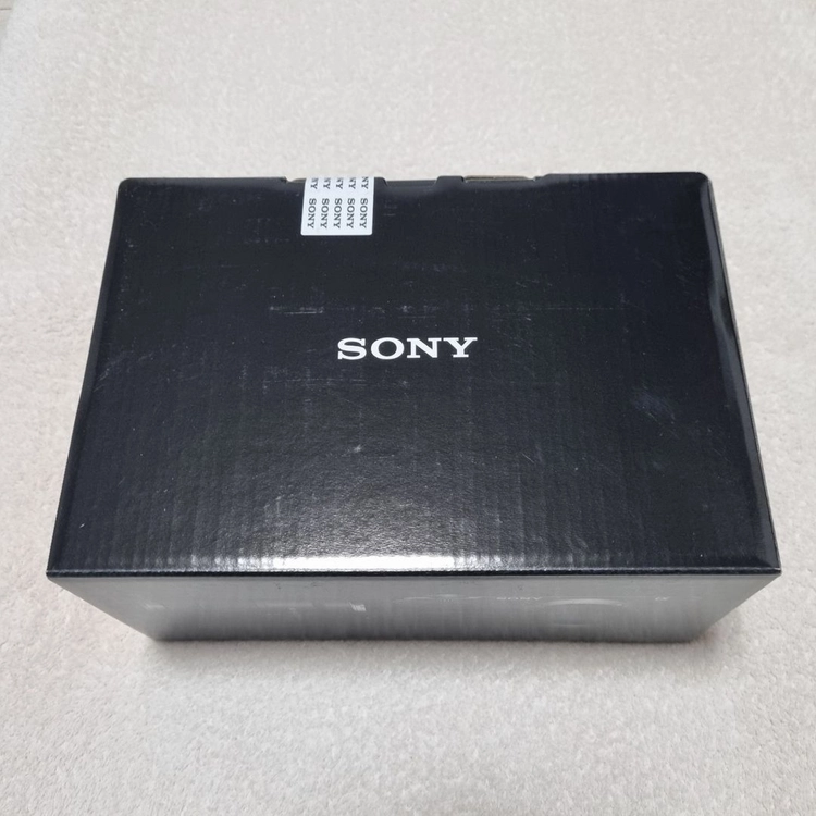 소니 a7r5, a7c2, e10, e10m2, a6400, a6700 이미지