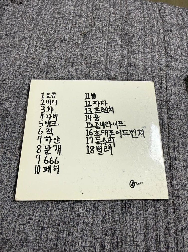 한국사람(최성) 환상 이미지