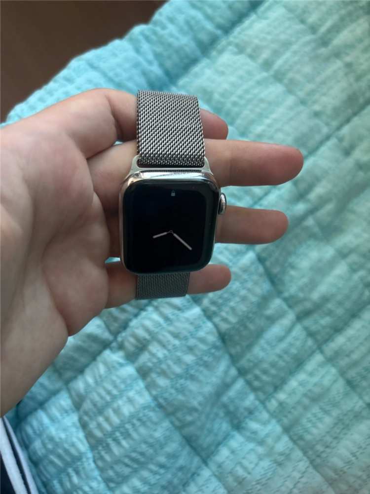 애플워치5 실버 스테인리스 40mm+ 정품 밀레니즈 이미지